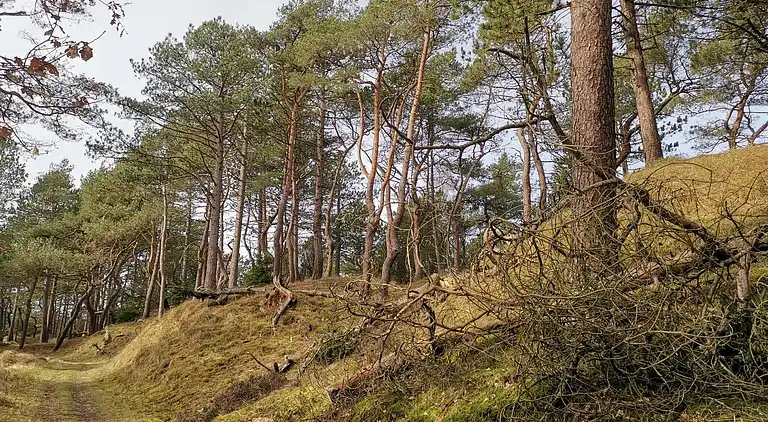 Semesterbostad i Mosevrå