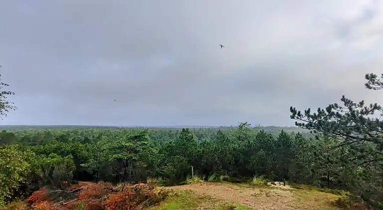 Semesterbostad i Mosevrå