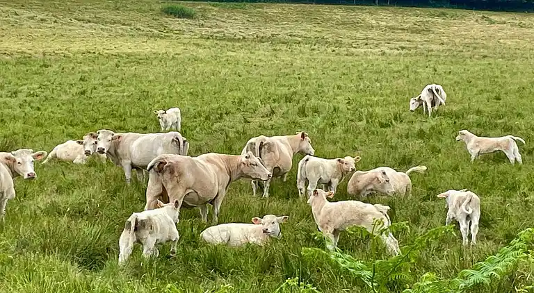Casa vacanze in Brassy