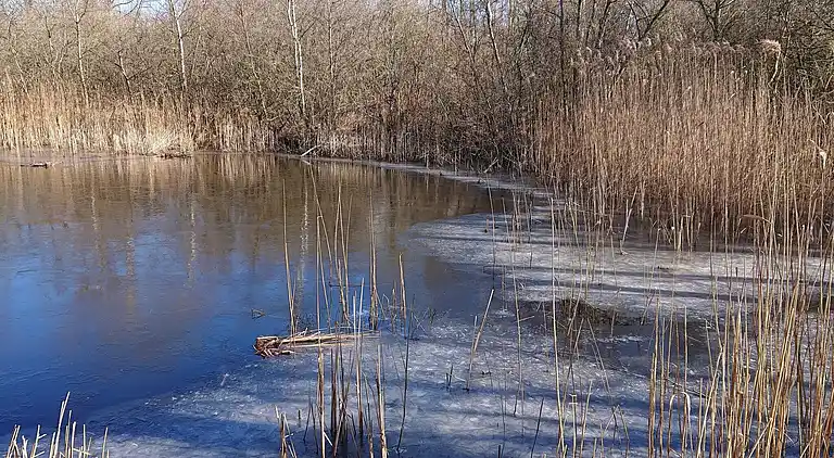 Casa vacanze in Hasmark Strand