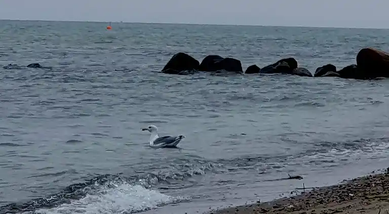 Casa vacanze in Hasmark Strand