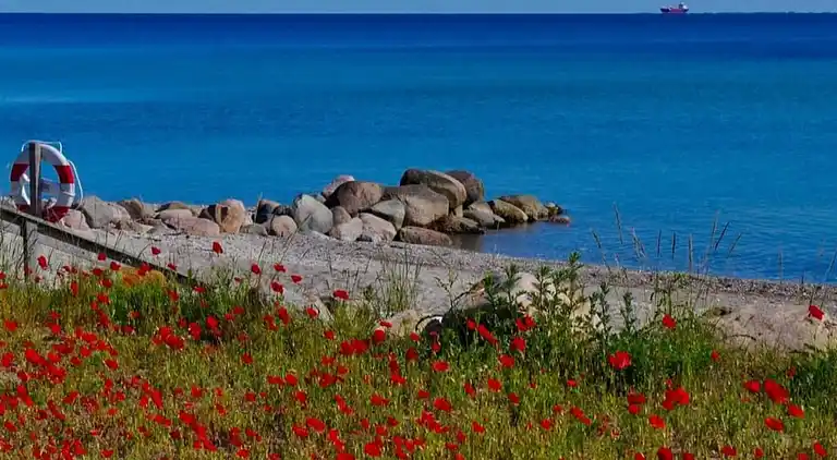 Casa vacanze in Hasmark Strand