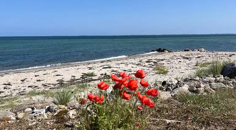 Casa vacanze in Hasmark Strand