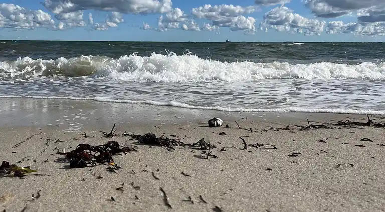 Casa vacanze in Hasmark Strand