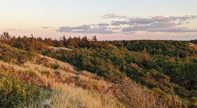 Sommerhus ved Vejers Strand