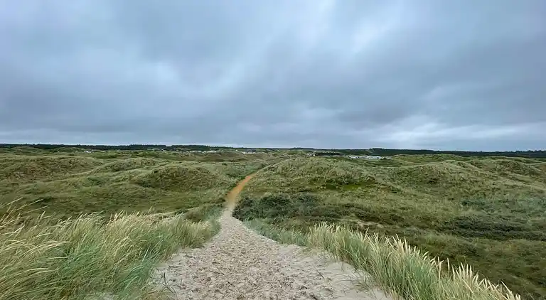 Sommerhus ved Vejers Strand