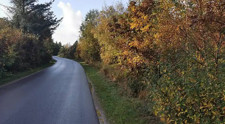 Holiday home in Varde