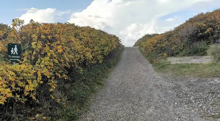 Holiday home in Varde