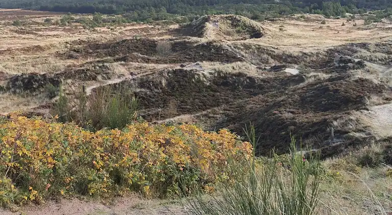 Holiday home in Houstrup