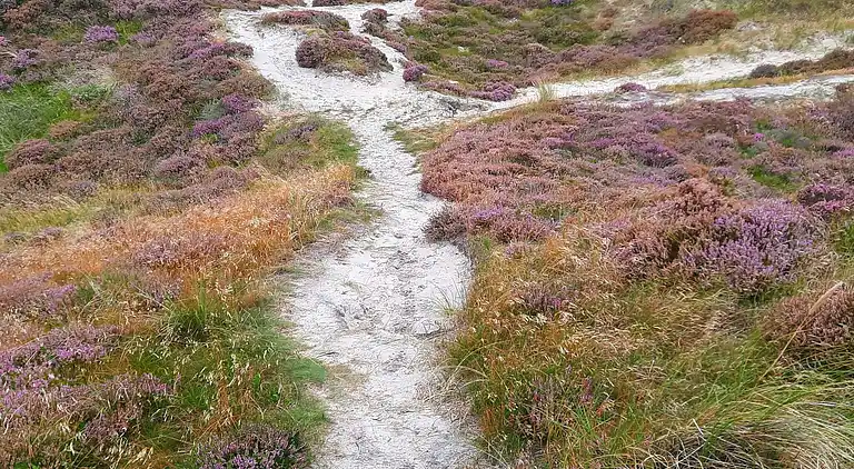 Holiday home in Houstrup