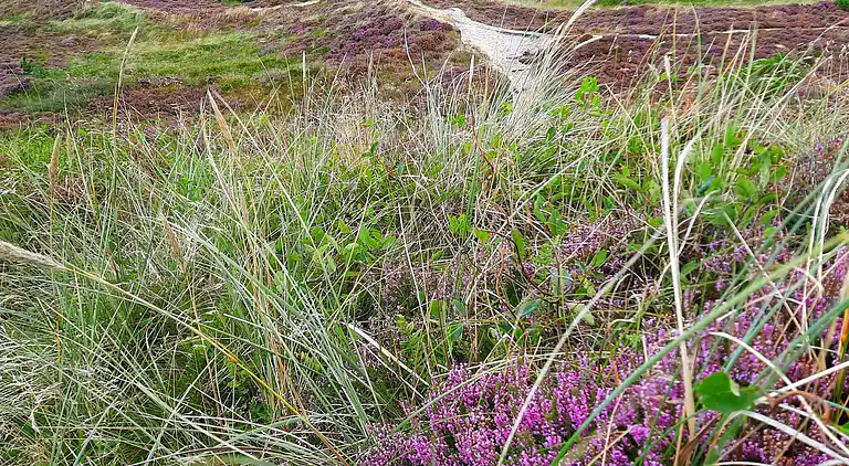 Holiday home in Houstrup