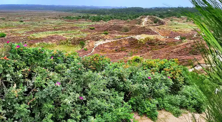Holiday home in Houstrup