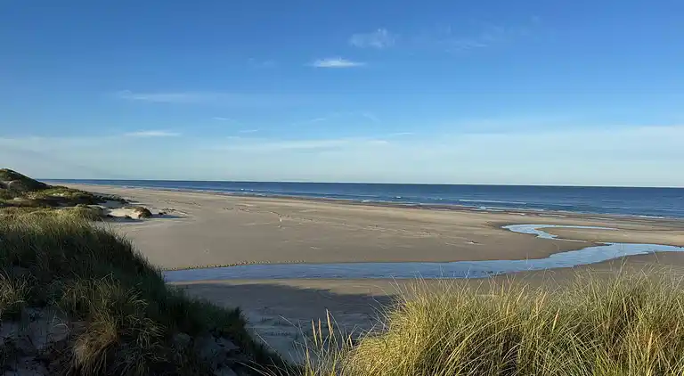 Sommerhus ved Vejers Strand
