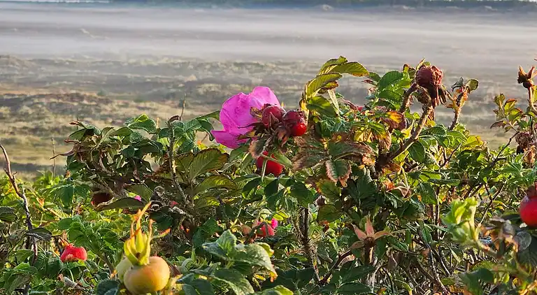 Holiday home in Houstrup