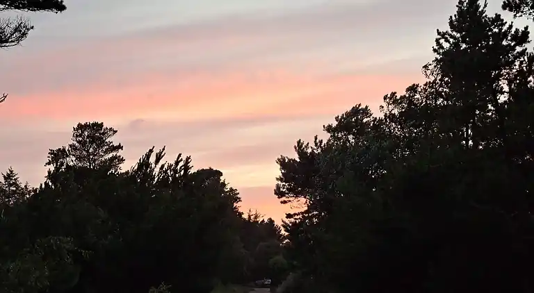 Sommerhus ved Vejers Strand