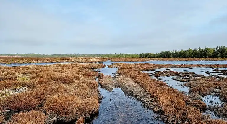 Holiday home in Houstrup