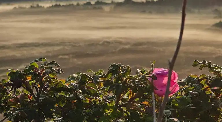 Holiday home in Houstrup