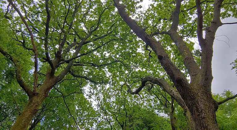 Holiday home in Jegum