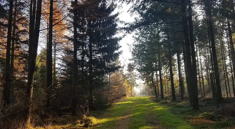 Casa vacanze in Branderup J