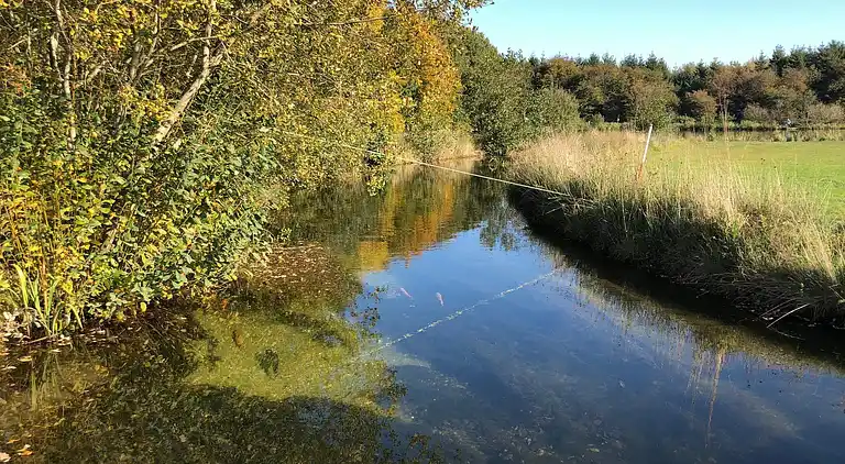 Casa vacanze in Branderup J