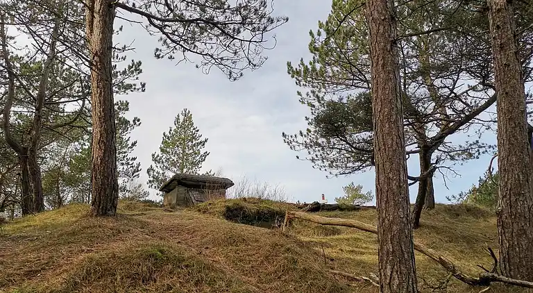 Sommerhus i Mosevrå