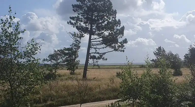 Sommerhus i Mosevrå