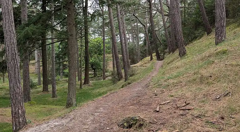 Sommerhus i Mosevrå