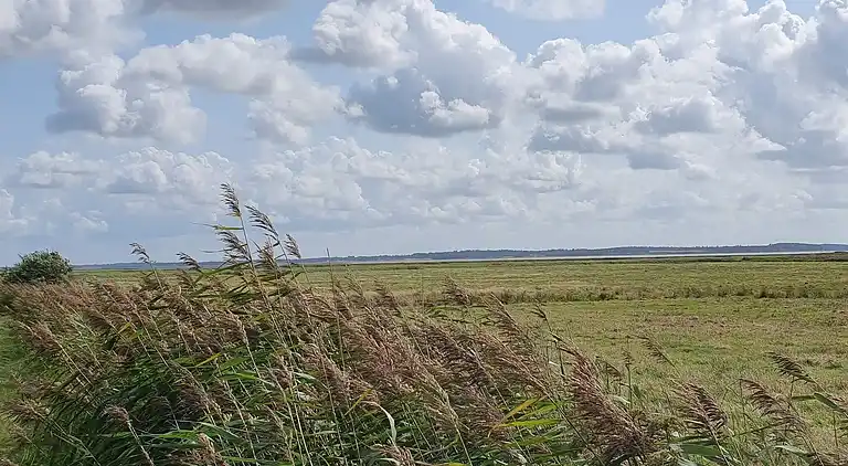Sommerhus i Mosevrå