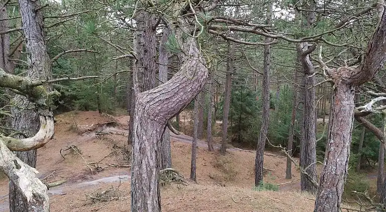 Sommerhus i Mosevrå