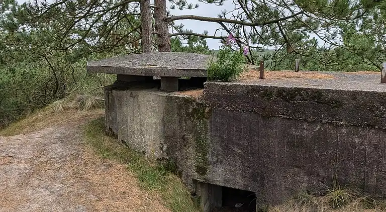 Sommerhus i Mosevrå