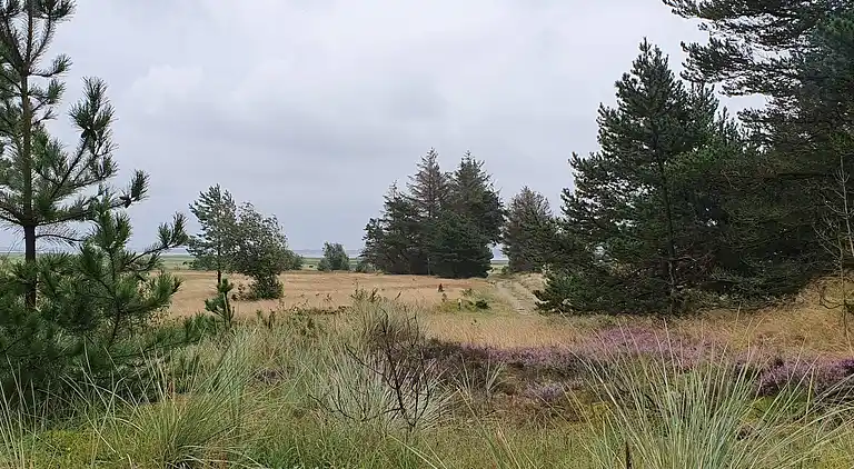 Sommerhus i Mosevrå