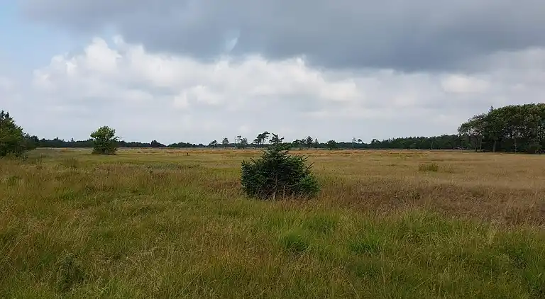 Sommerhus i Mosevrå