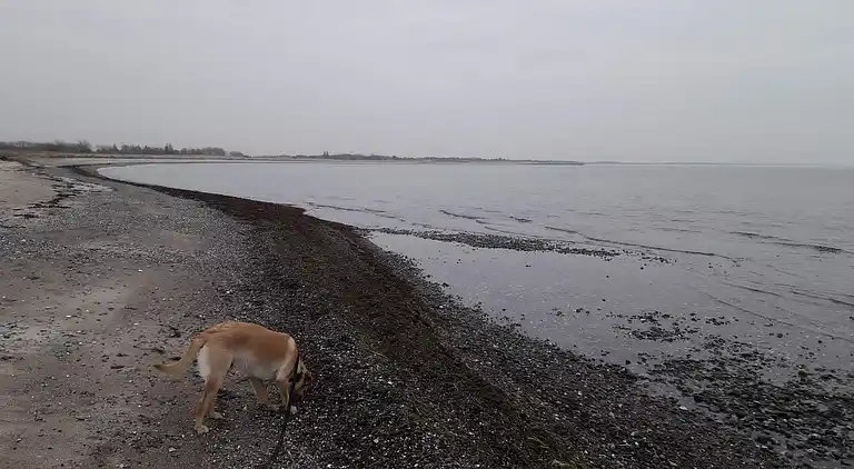 Vakantiehuis in Rødby