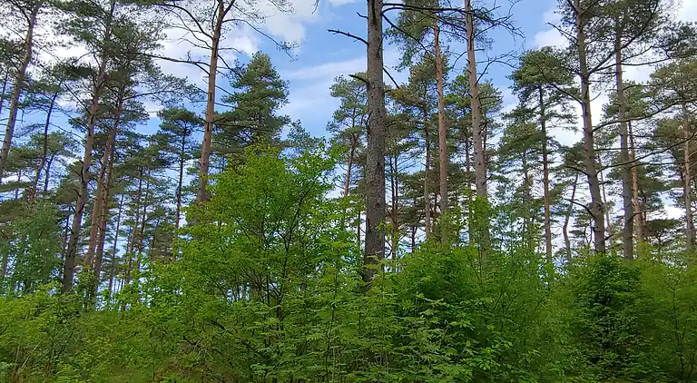 Semesterbostad i Jegum