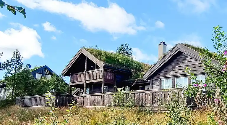 Holiday home in Åseral Municipality