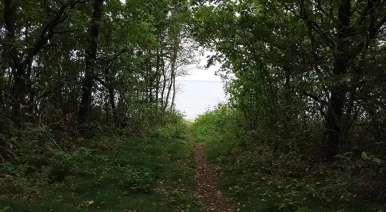 Holiday home in Roslev