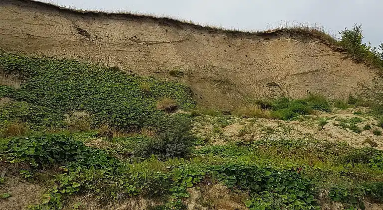 Holiday home in Roslev