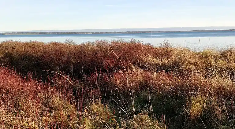 Holiday home in Roslev