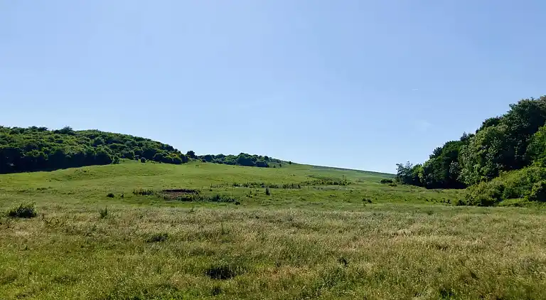 Holiday home in Roslev