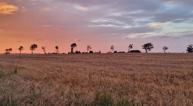 Holiday home in Roslev