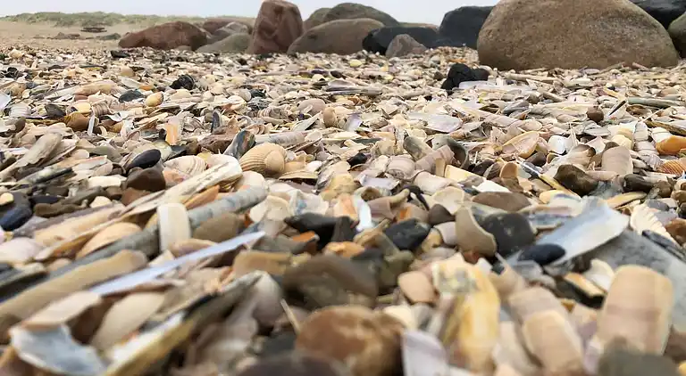 Sommerhus i Blåvand