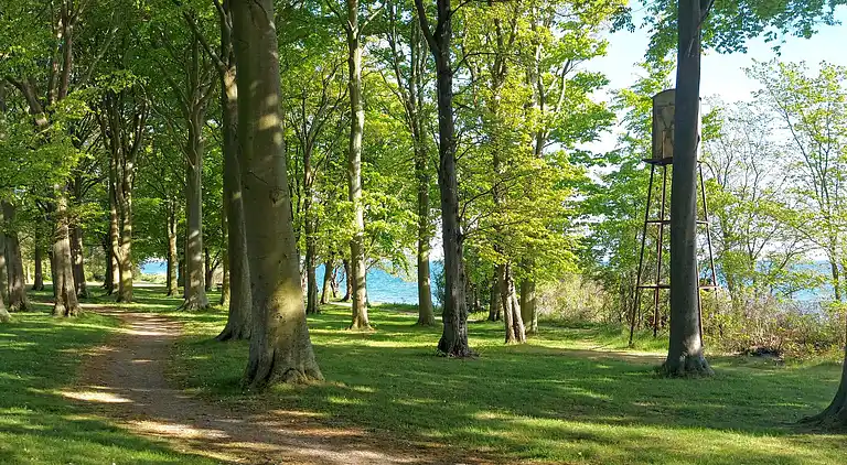 Holiday home in Nysted