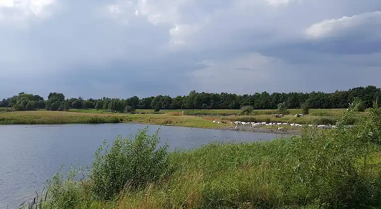 Holiday home in Nysted