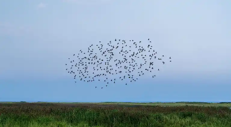 Holiday home in Vinderup