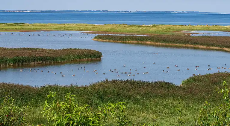 Holiday home in Vinderup