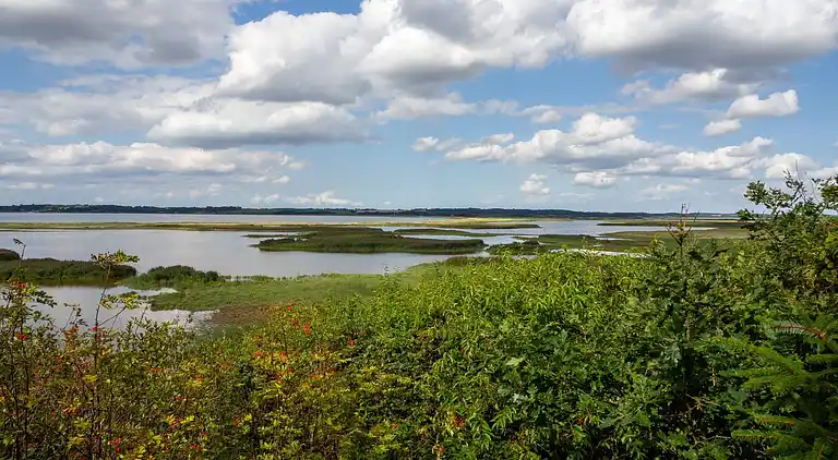 Holiday home in Vinderup