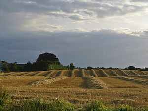 Sommerhus ved Hejlsminde Strand
