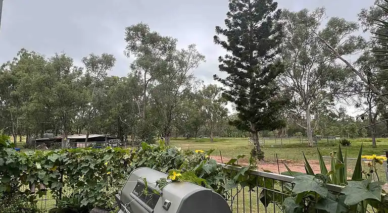 Seehorse Meadows, a Farm Stay in Churchable!