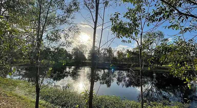 Seehorse Meadows, a Farm Stay in Churchable!