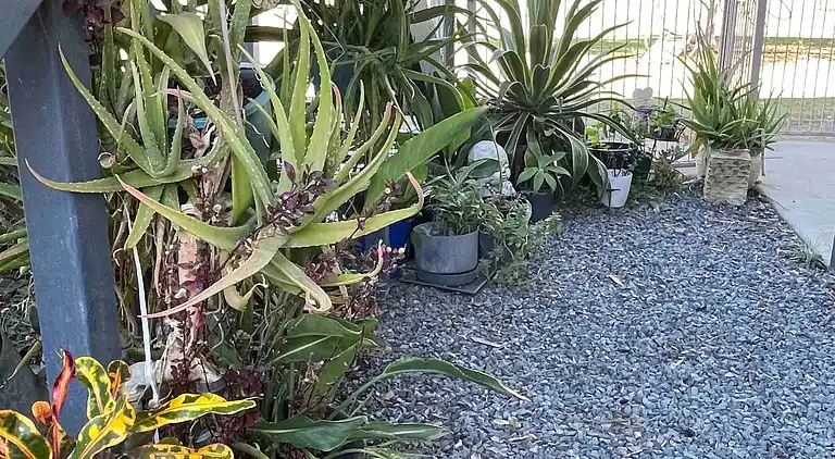 Seehorse Meadows, a Farm Stay in Churchable!